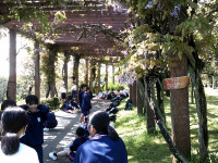 DSCF0401