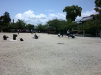 DSCF0408