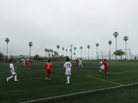 DSC03493
