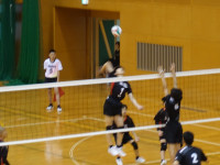 DSC03639