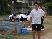 DSCI0654
