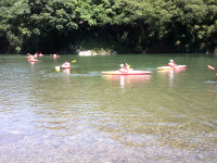 DSCF0100