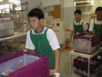 IMGP0006