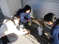 アンドレア先生人生初