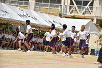 DSC_0113